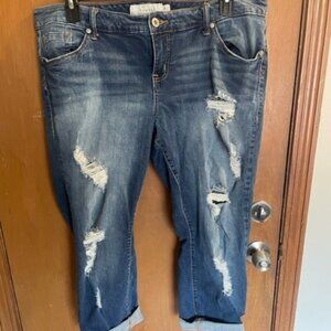 Plus Size Distressed Jeans